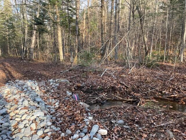 0 Little Huston Brook Road Concord Township, ME 04920 - Photo 175 of 193 IMG_1313