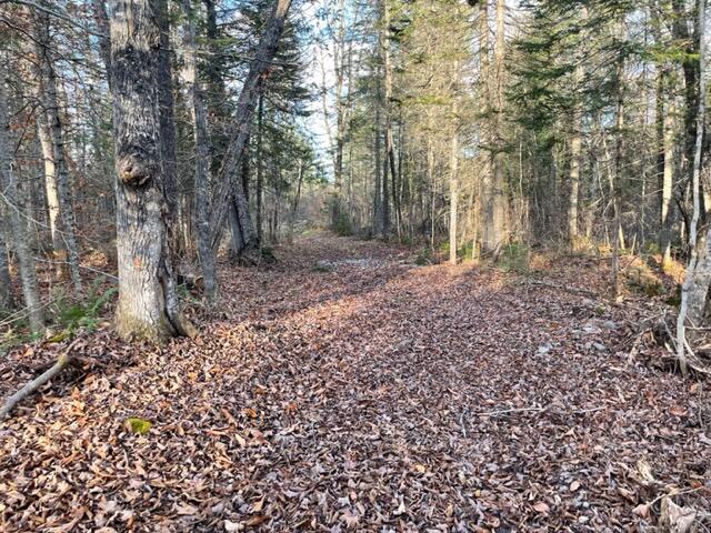 0 Little Huston Brook Road Concord Township, ME 04920 - Photo 176 of 193 IMG_1314