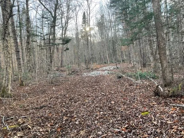 $295,000 | 0 Little Huston Brook Road, Concord Township, ME 04920
