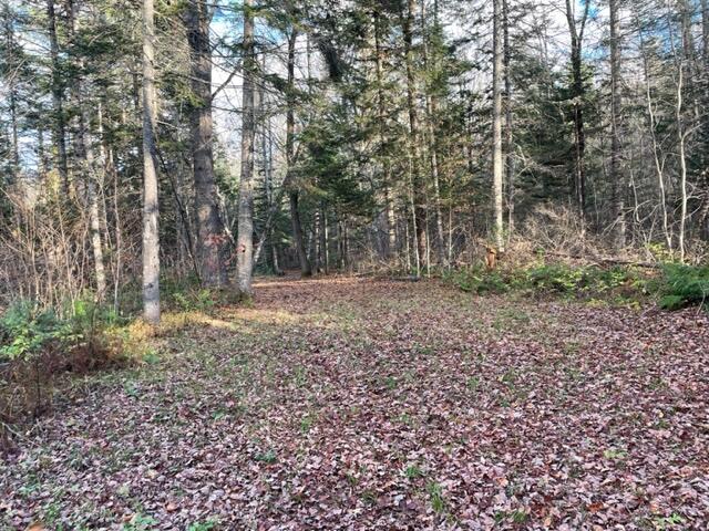 0 Little Huston Brook Road Concord Township, ME 04920 - Photo 178 of 193 IMG_1316