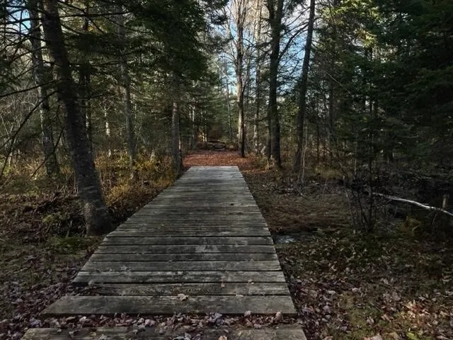 $295,000 | 0 Little Huston Brook Road, Concord Township, ME 04920