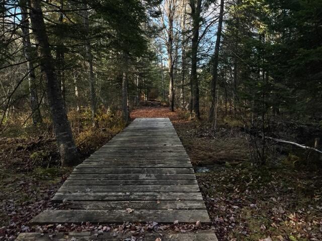 0 Little Huston Brook Road Concord Township, ME 04920 - Photo 179 of 193 IMG_1317