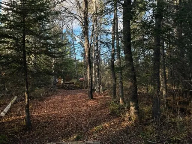 $295,000 | 0 Little Huston Brook Road, Concord Township, ME 04920