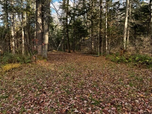 0 Little Huston Brook Road Concord Township, ME 04920 - Photo 181 of 193 IMG_1319