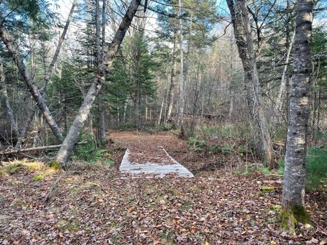 0 Little Huston Brook Road Concord Township, ME 04920 - Photo 182 of 193 IMG_1320