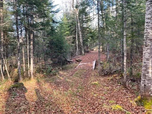 $295,000 | 0 Little Huston Brook Road, Concord Township, ME 04920