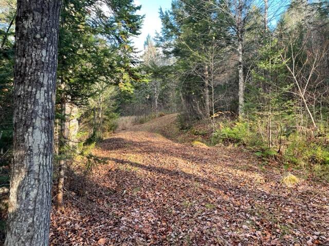 0 Little Huston Brook Road Concord Township, ME 04920 - Photo 184 of 193 IMG_1322