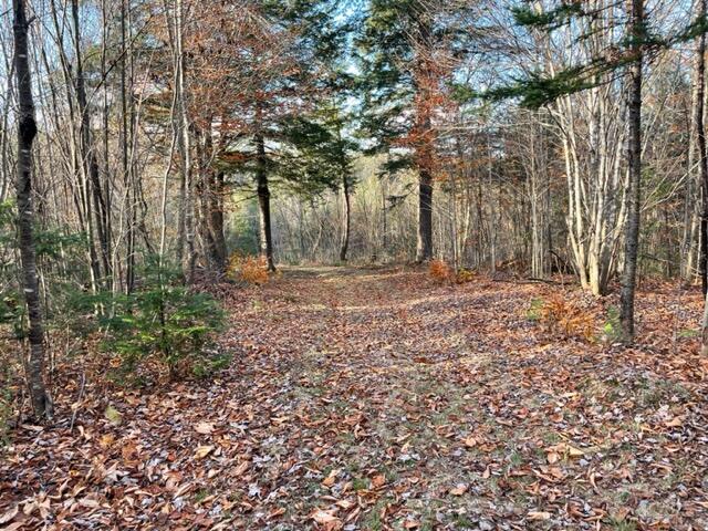 0 Little Huston Brook Road Concord Township, ME 04920 - Photo 185 of 193 IMG_1331