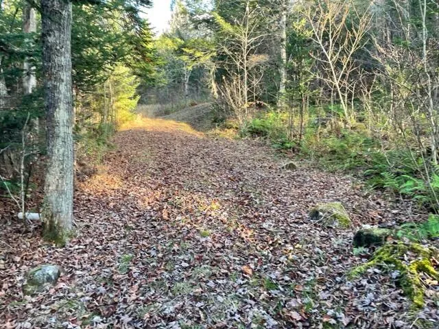 $295,000 | 0 Little Huston Brook Road, Concord Township, ME 04920
