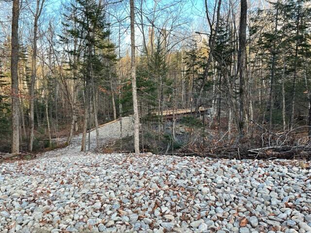 0 Little Huston Brook Road Concord Township, ME 04920 - Photo 187 of 193 IMG_1338