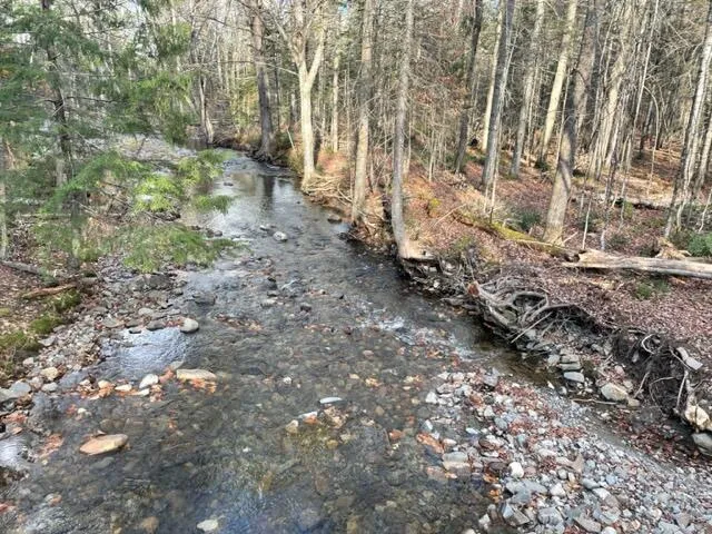 $295,000 | 0 Little Huston Brook Road, Concord Township, ME 04920