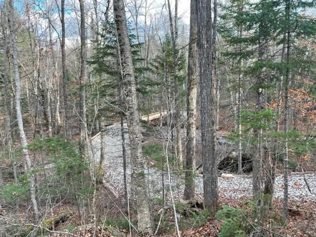 $295,000 | 0 Little Huston Brook Road, Concord Township, ME 04920