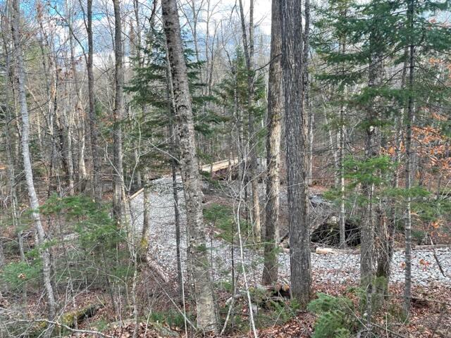 0 Little Huston Brook Road Concord Township, ME 04920 - Photo 33 of 193 IMG_1289