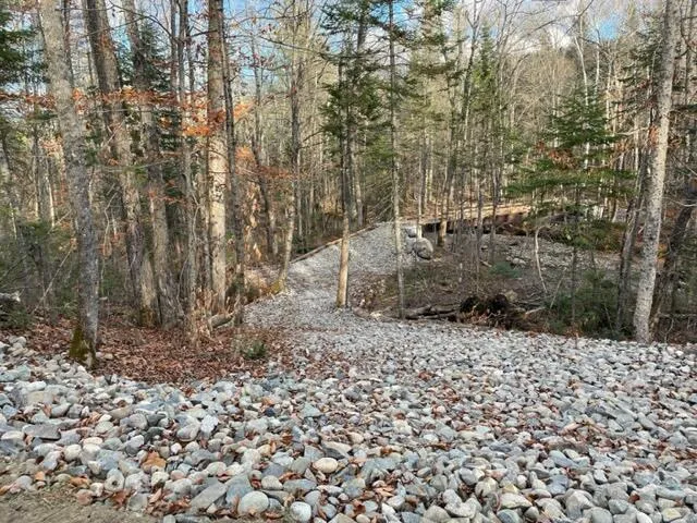 $295,000 | 0 Little Huston Brook Road, Concord Township, ME 04920