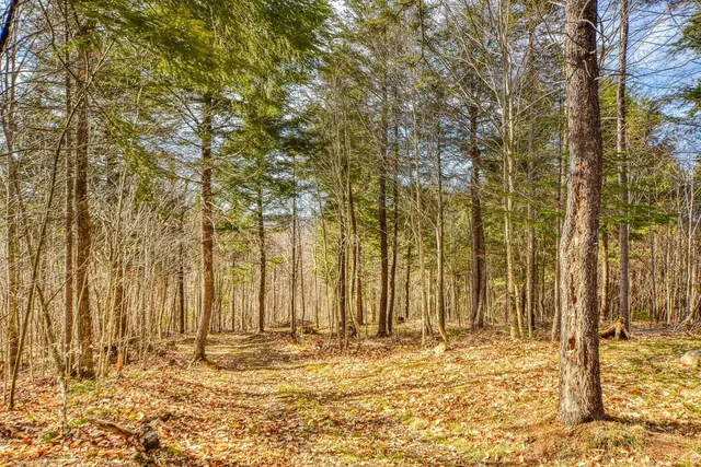 $295,000 | 0 Little Huston Brook Road, Concord Township, ME 04920