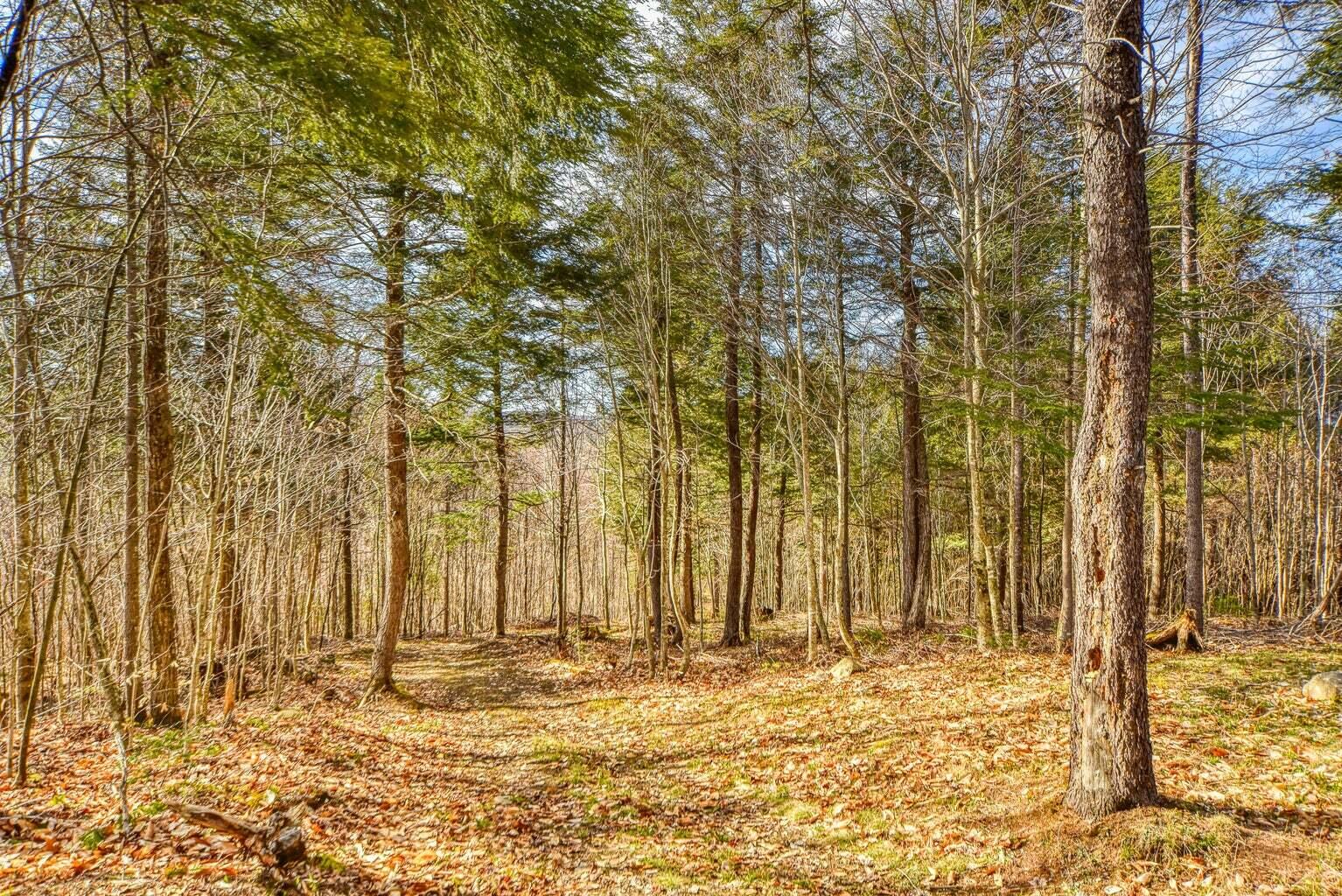 0 Little Huston Brook Road Concord Township, ME 04920 - Photo 57 of 193 20220516180048834294000000-o