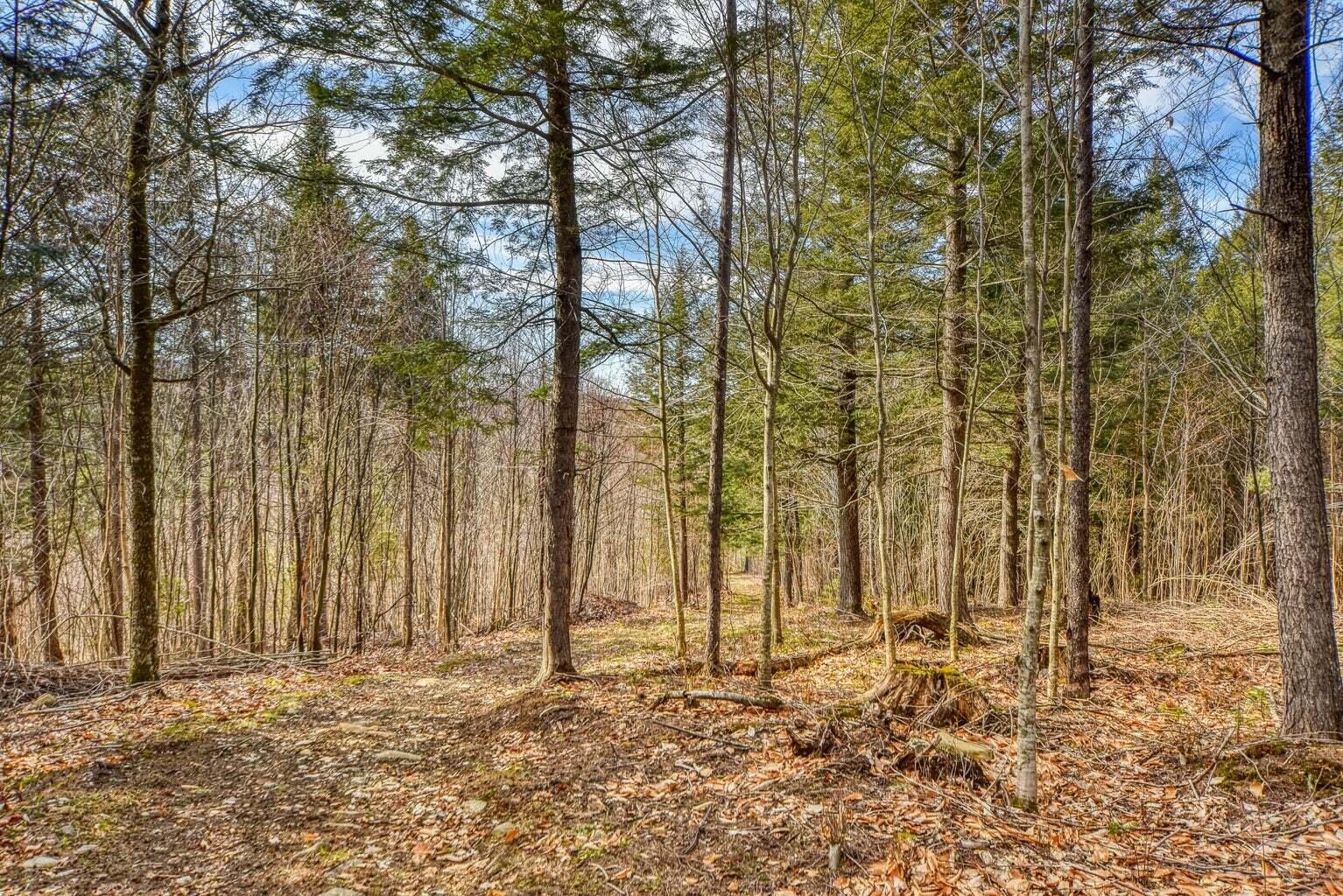 0 Little Huston Brook Road Concord Township, ME 04920 - Photo 58 of 193 20220516180101394419000000-o