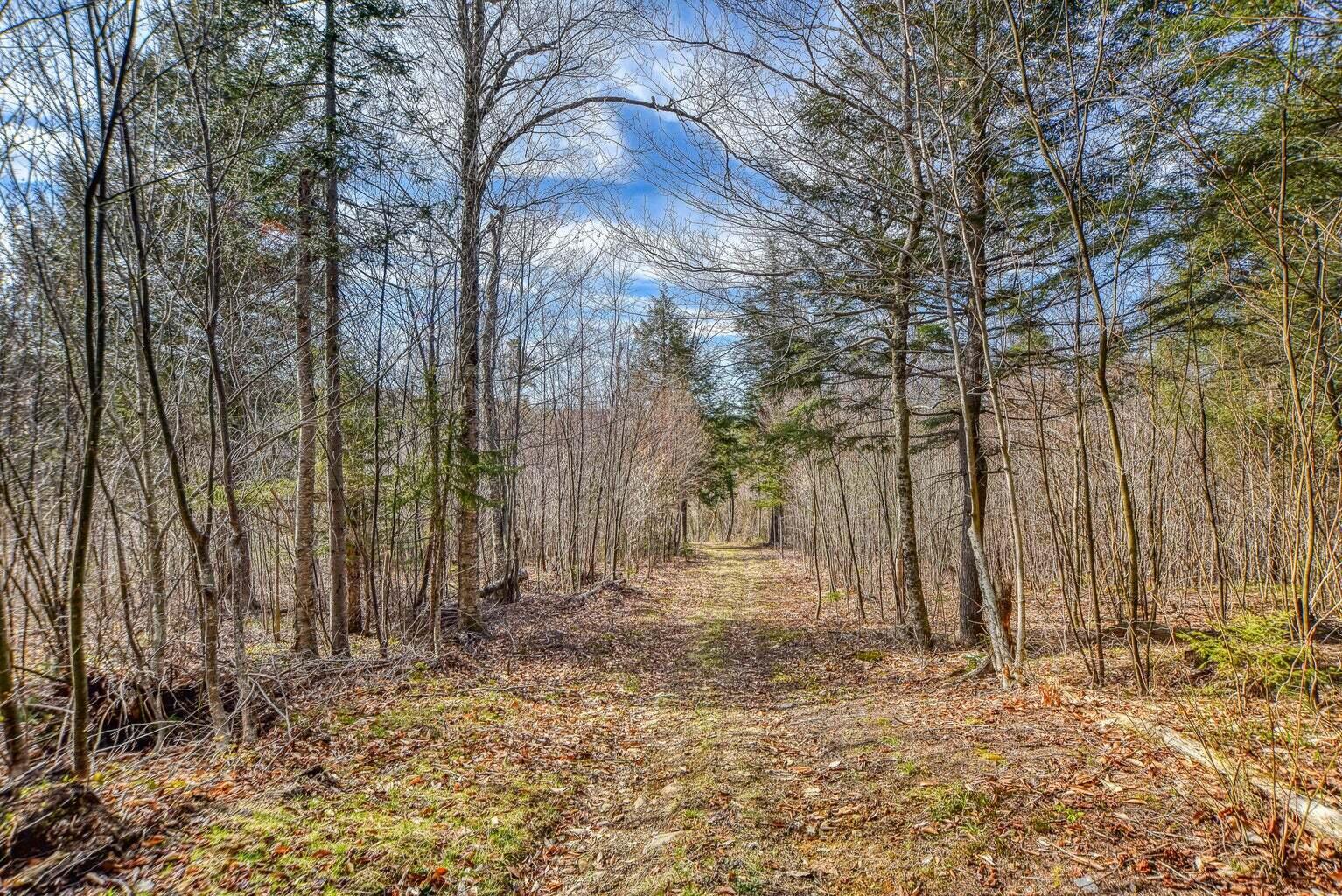 0 Little Huston Brook Road Concord Township, ME 04920 - Photo 59 of 193 20220516180144891613000000-o