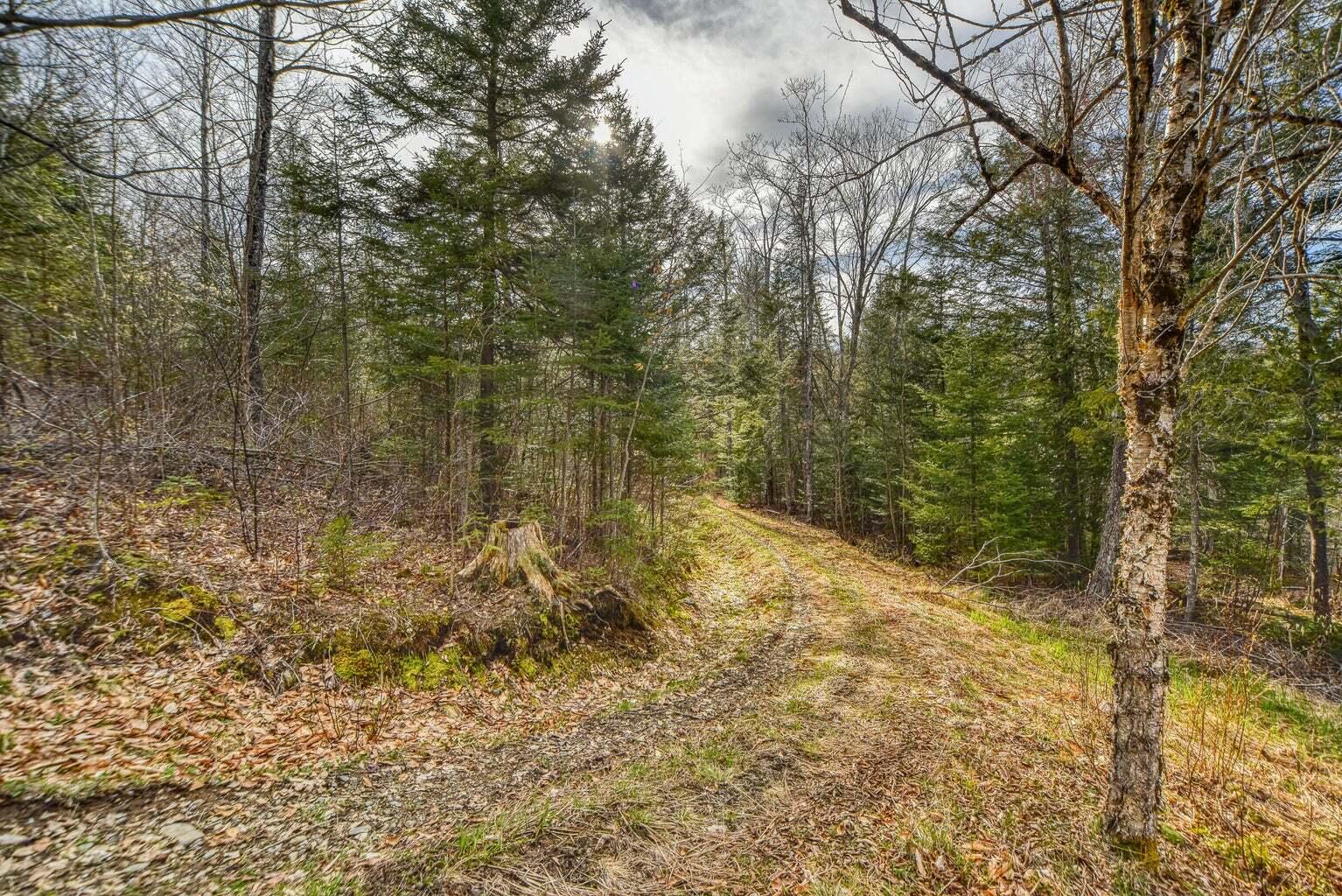 0 Little Huston Brook Road Concord Township, ME 04920 - Photo 60 of 193 20220516180209404052000000-o