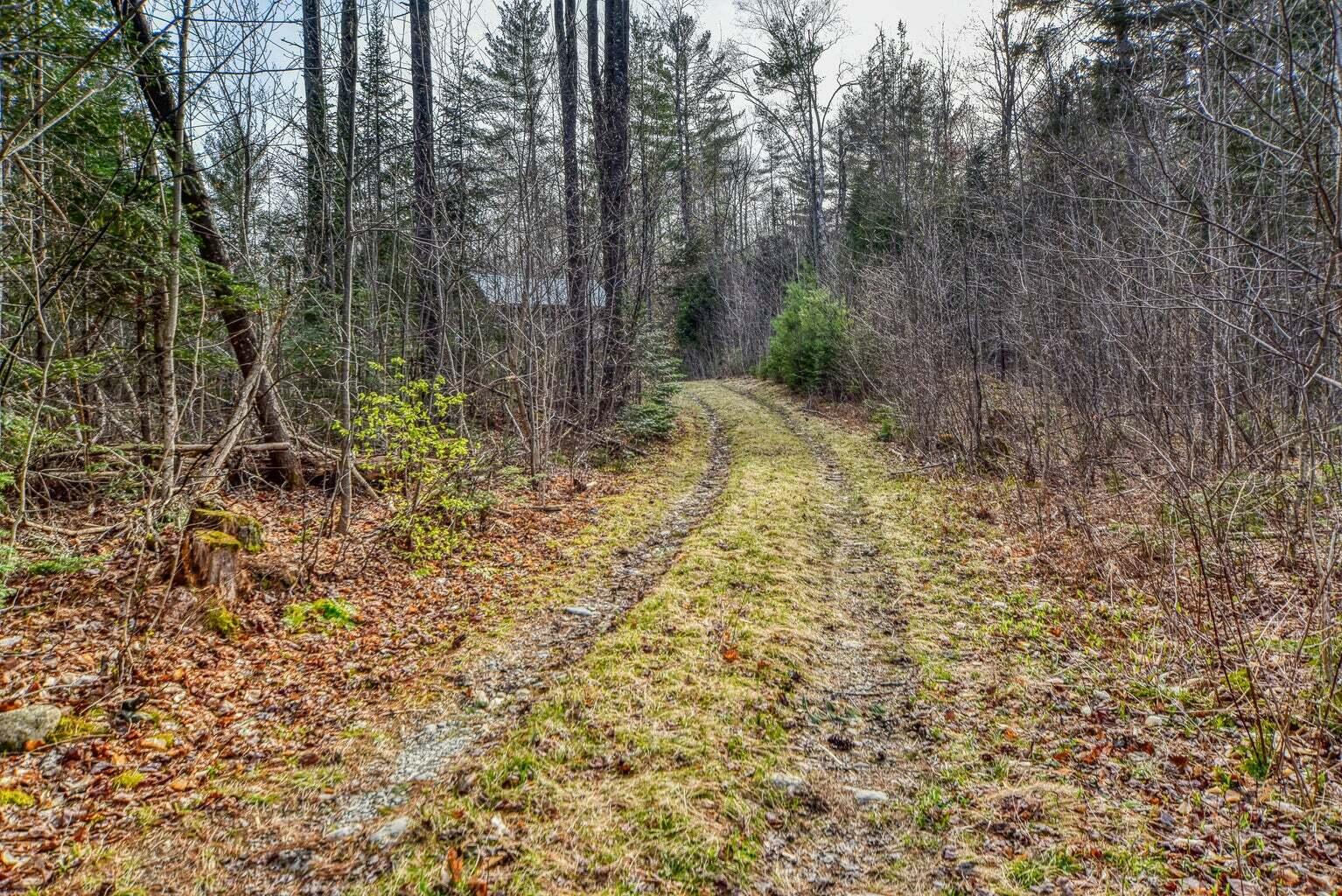 0 Little Huston Brook Road Concord Township, ME 04920 - Photo 61 of 193 20220516180435399794000000-o