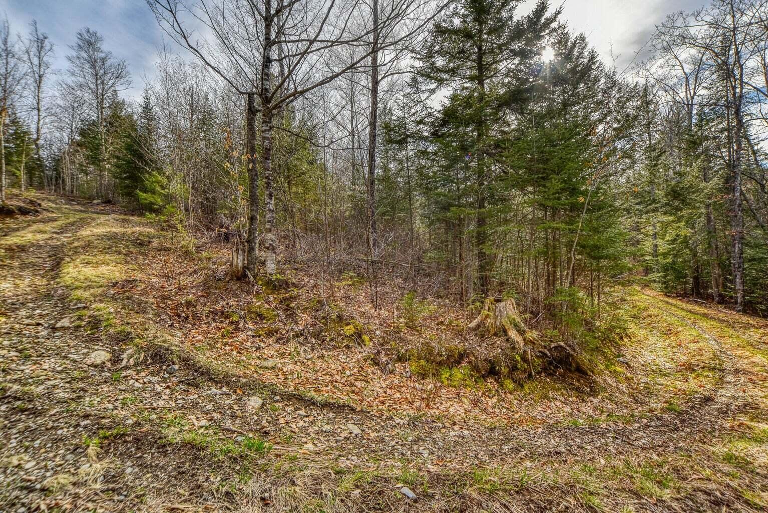 0 Little Huston Brook Road Concord Township, ME 04920 - Photo 63 of 193 20220516175502996484000000-o