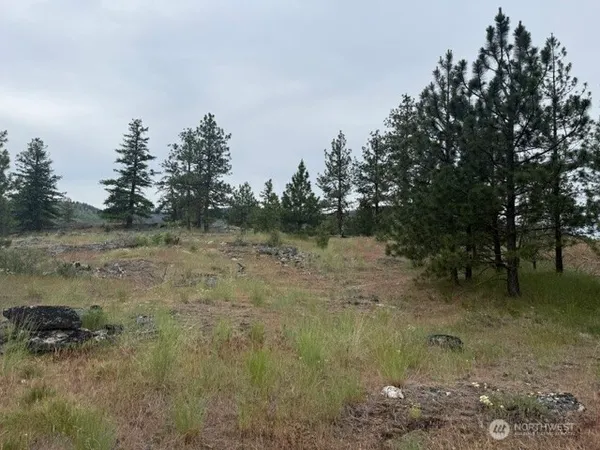 $39,000 | 111 Tbd Patterson Creek, Tonasket, WA 98855
