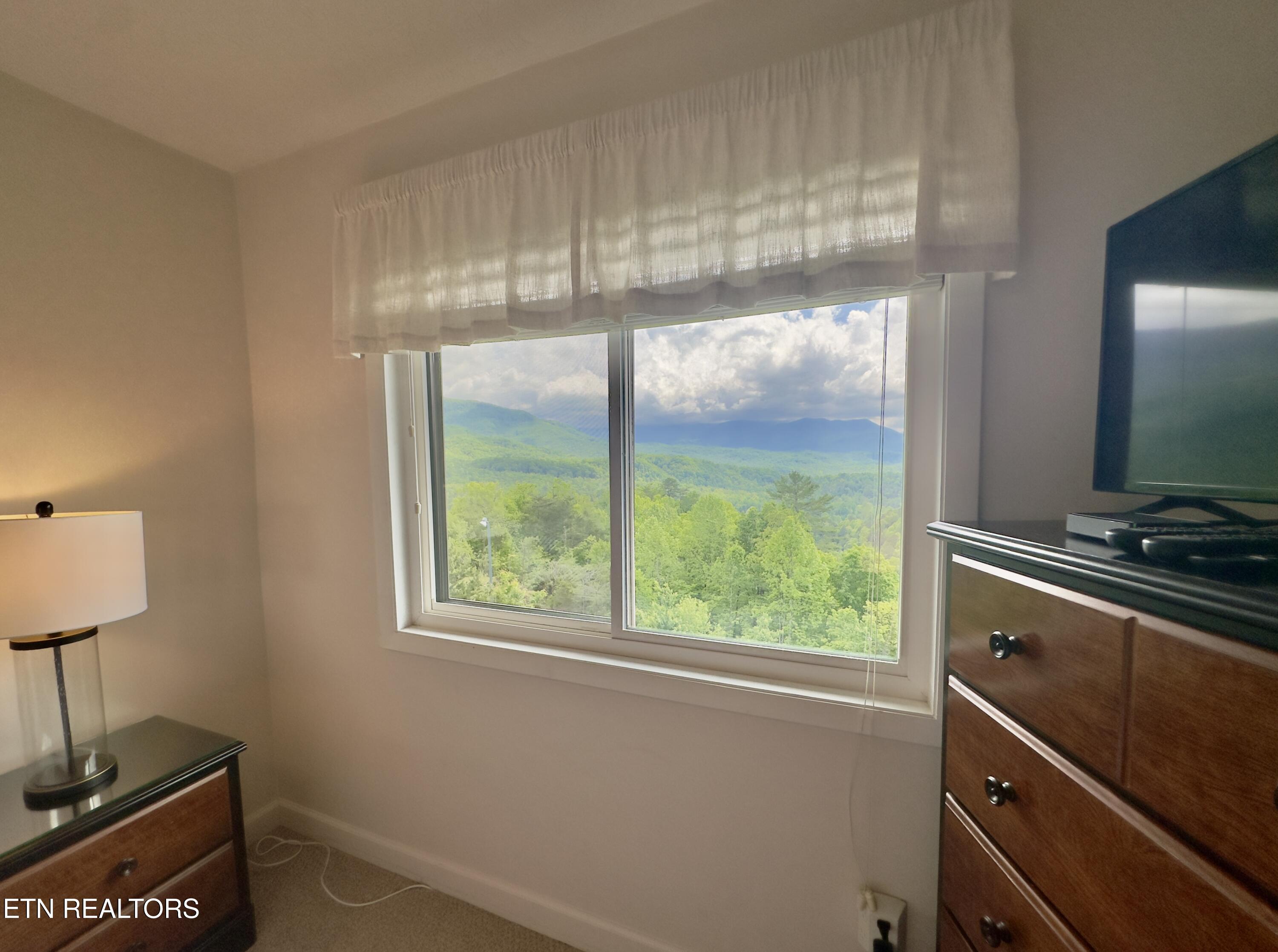 3710 Weber Road, Unit E306 Gatlinburg, TN 37738 - Photo 15 of 33 IMG-7062