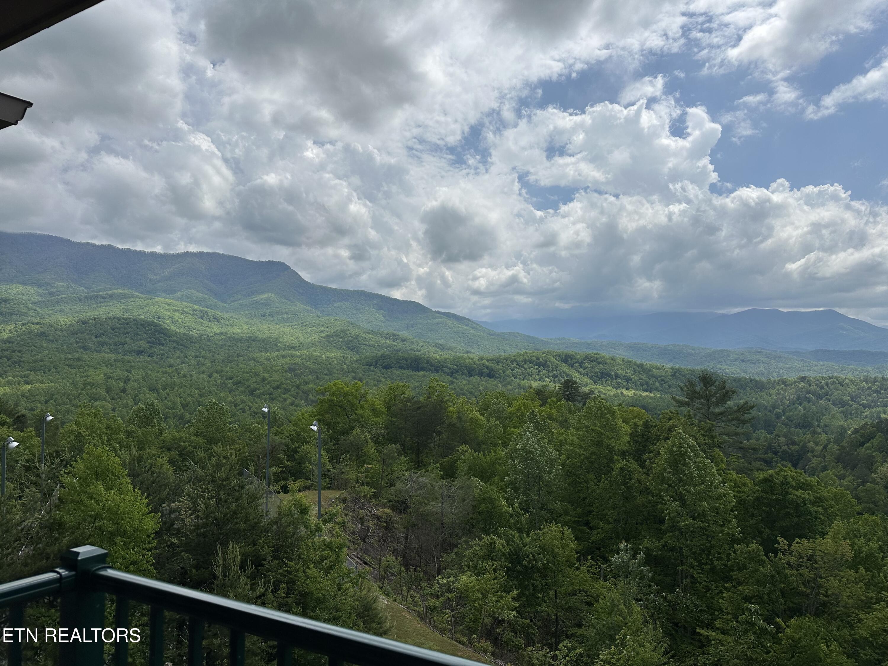 3710 Weber Road, Unit E306 Gatlinburg, TN 37738 - Photo 19 of 33 IMG-7047