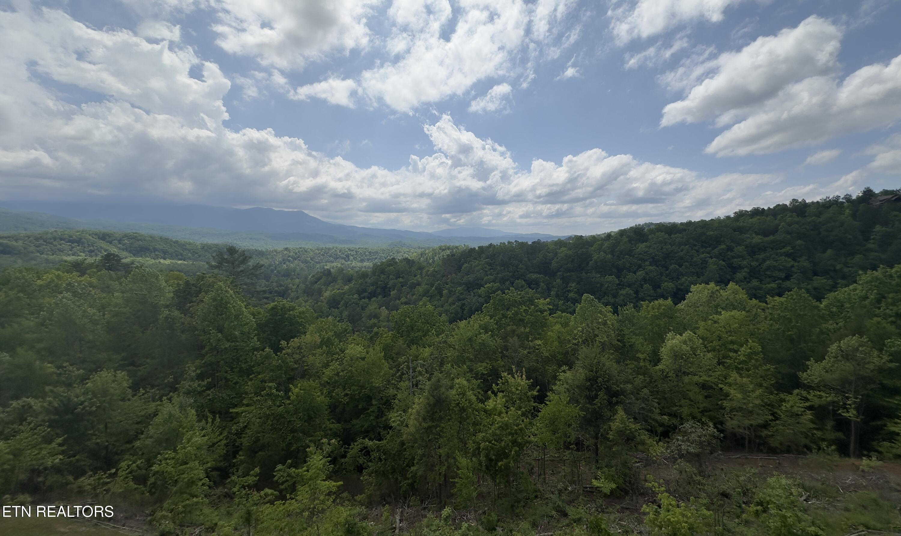 3710 Weber Road, Unit E306 Gatlinburg, TN 37738 - Photo 20 of 33 IMG-7049