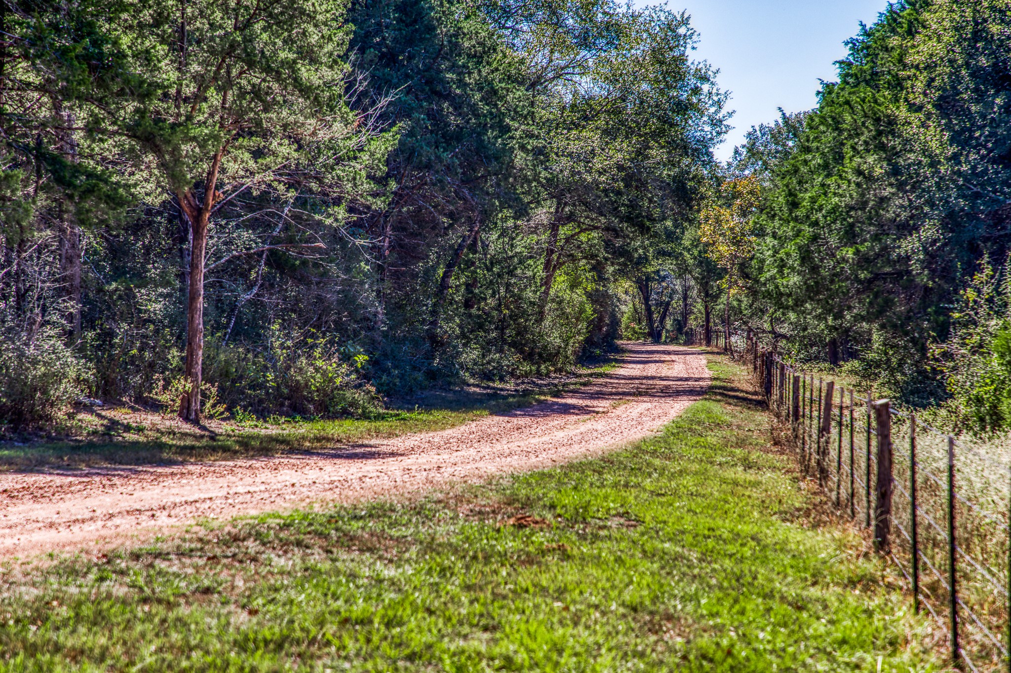 1712 Lynn Road Chappell Hill, TX 77426 - Photo 2 of 44 a view of yard