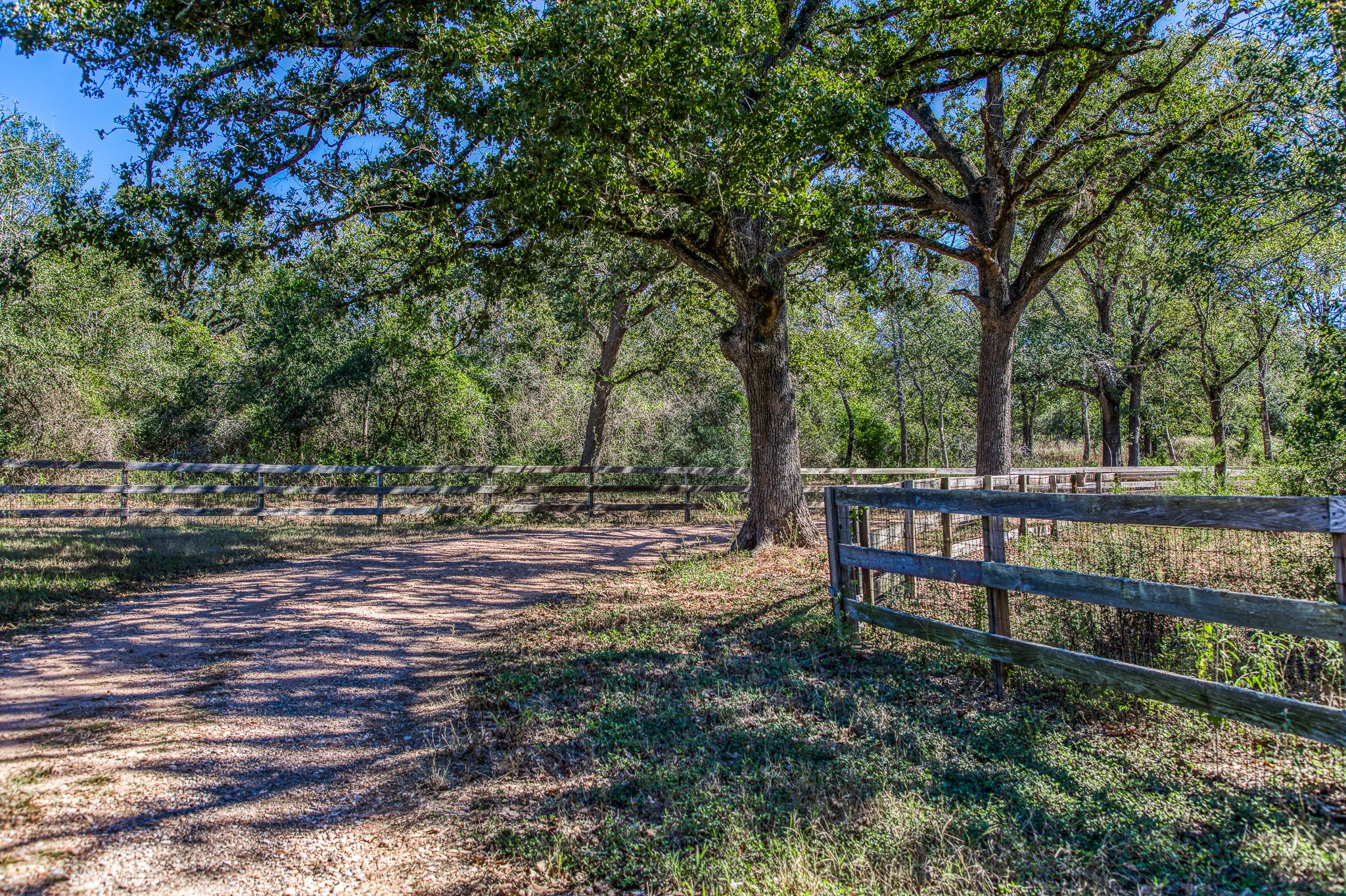 1712 Lynn Road Chappell Hill, TX 77426 - Photo 22 of 44 a view of backyard with deck and trees
