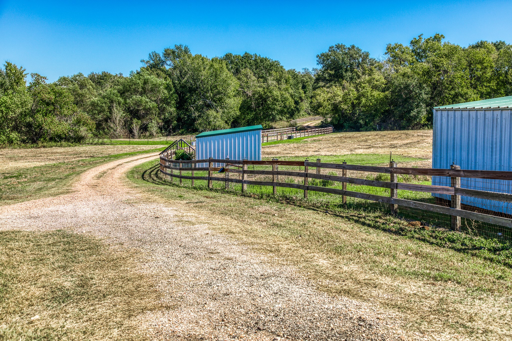 1712 Lynn Road Chappell Hill, TX 77426 - Photo 23 of 44 a view of backyard with wooden fence