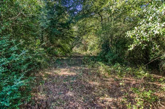 $2,495,000 | 1712 Lynn Road, Chappell Hill, TX 77426