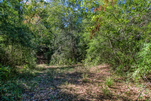 $2,495,000 | 1712 Lynn Road, Chappell Hill, TX 77426