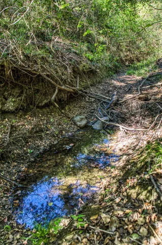 $2,495,000 | 1712 Lynn Road, Chappell Hill, TX 77426