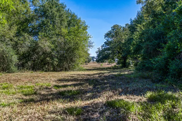 $2,495,000 | 1712 Lynn Road, Chappell Hill, TX 77426
