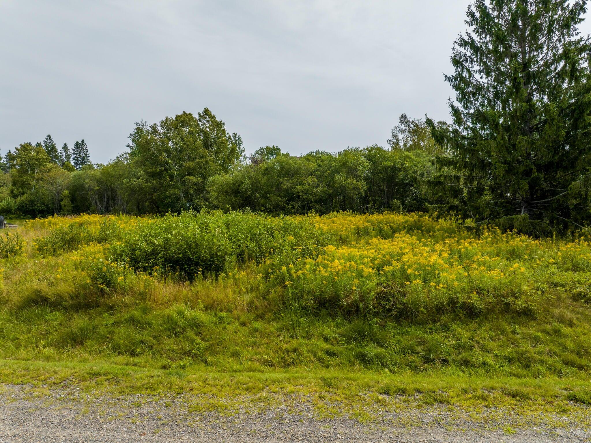 12 Marbles Way Rangeley, ME 04970 - Photo 5 of 15 Lay of the Land