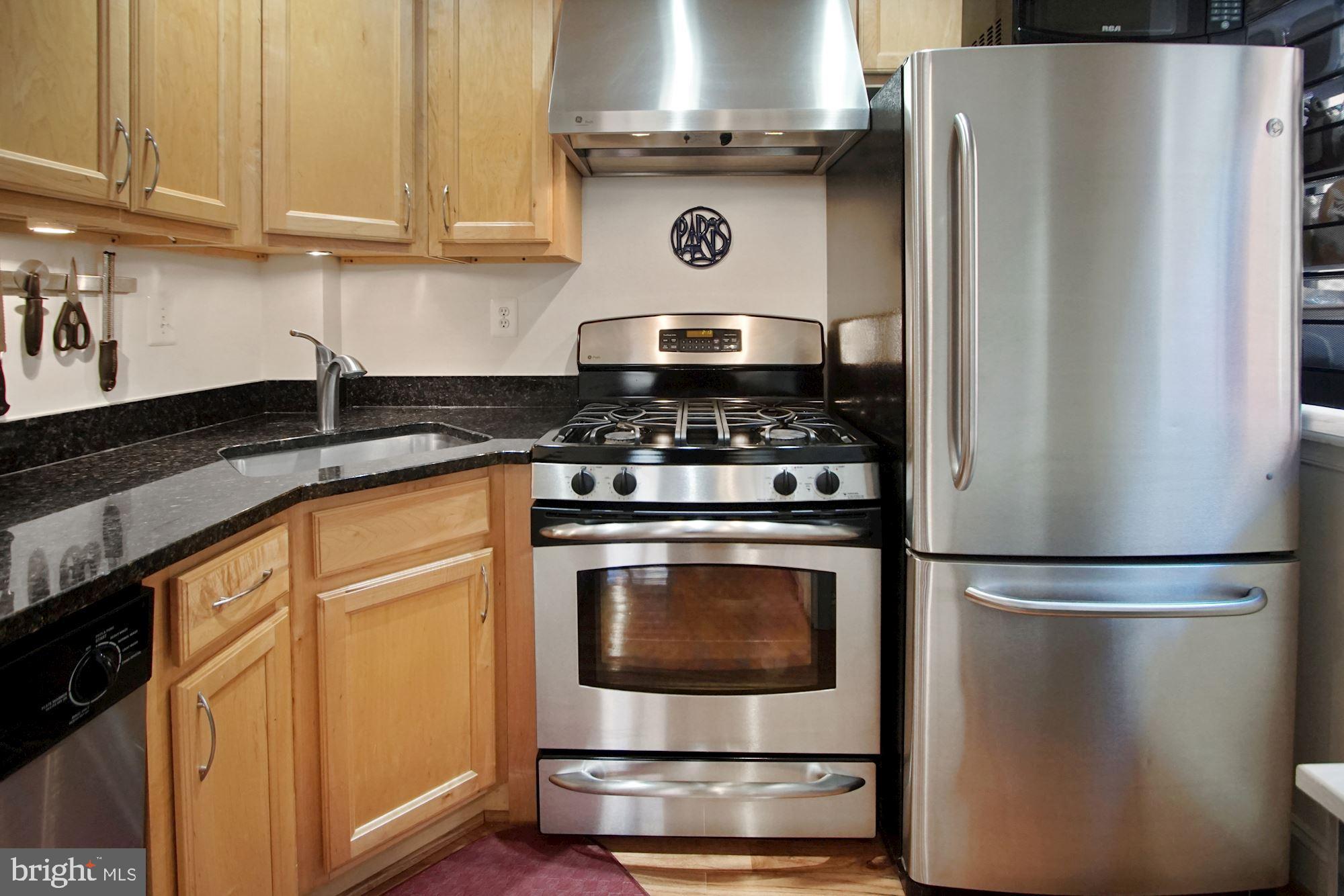 Granite/stainless kitchen