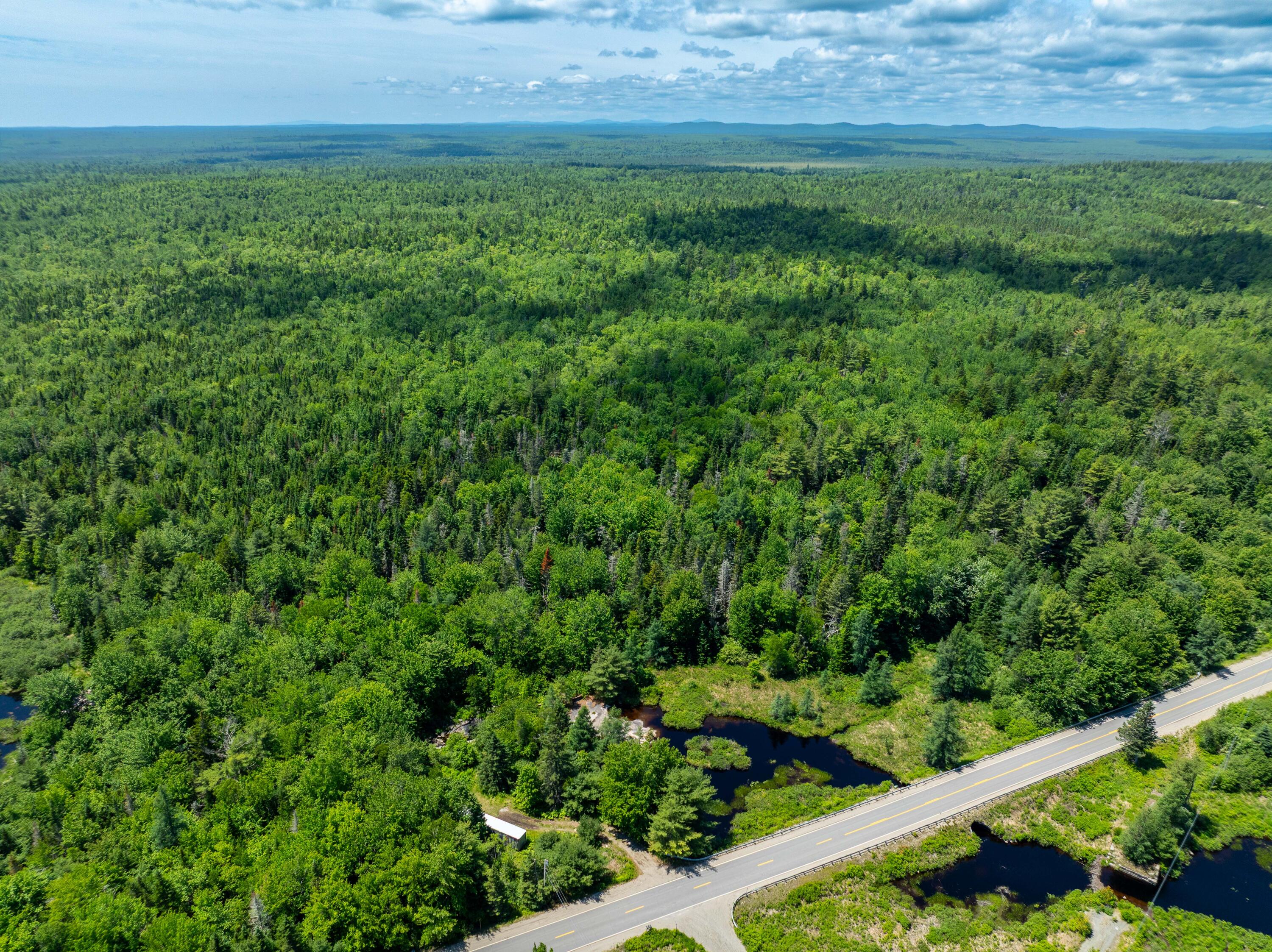 M4-l29 Northfield Road Machias, ME 04654 - Photo 10 of 23 42 Acre Lot Marshfield (14 of 32)