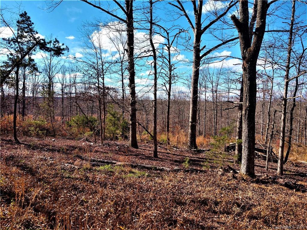1660 Jack McKinney Road Rutherfordton, NC 28139 - Photo 25 of 26