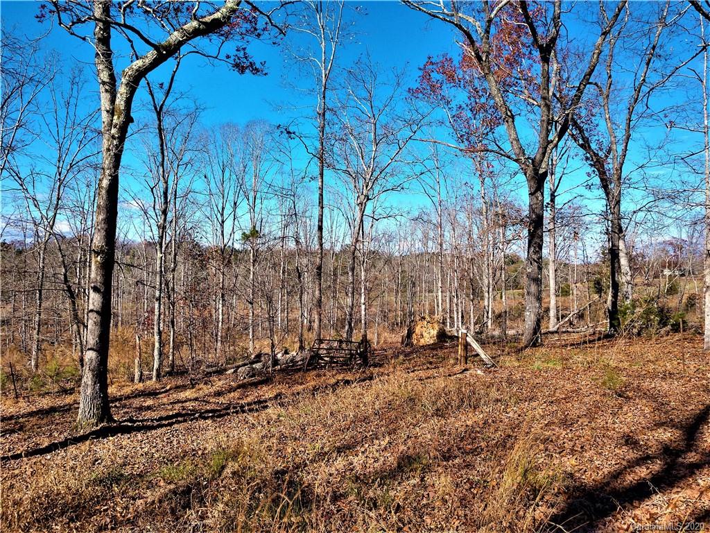 1660 Jack McKinney Road Rutherfordton, NC 28139 - Photo 26 of 26