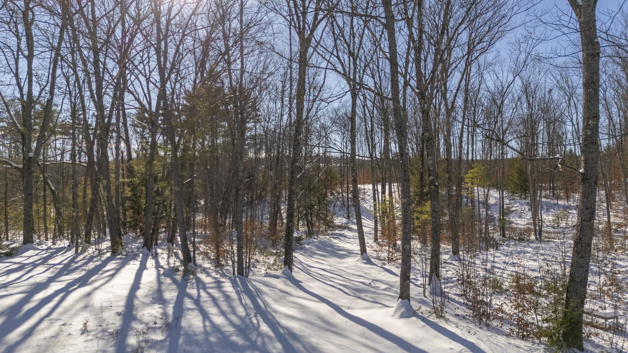 263 Knowles Pond Road Northfield, NH 03276 - Photo 9 of 35 Gallery Image 9