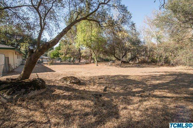 41114 Oak Ridge Drive Three Rivers, CA 93271 - Photo 13 of 25 Additional Photo