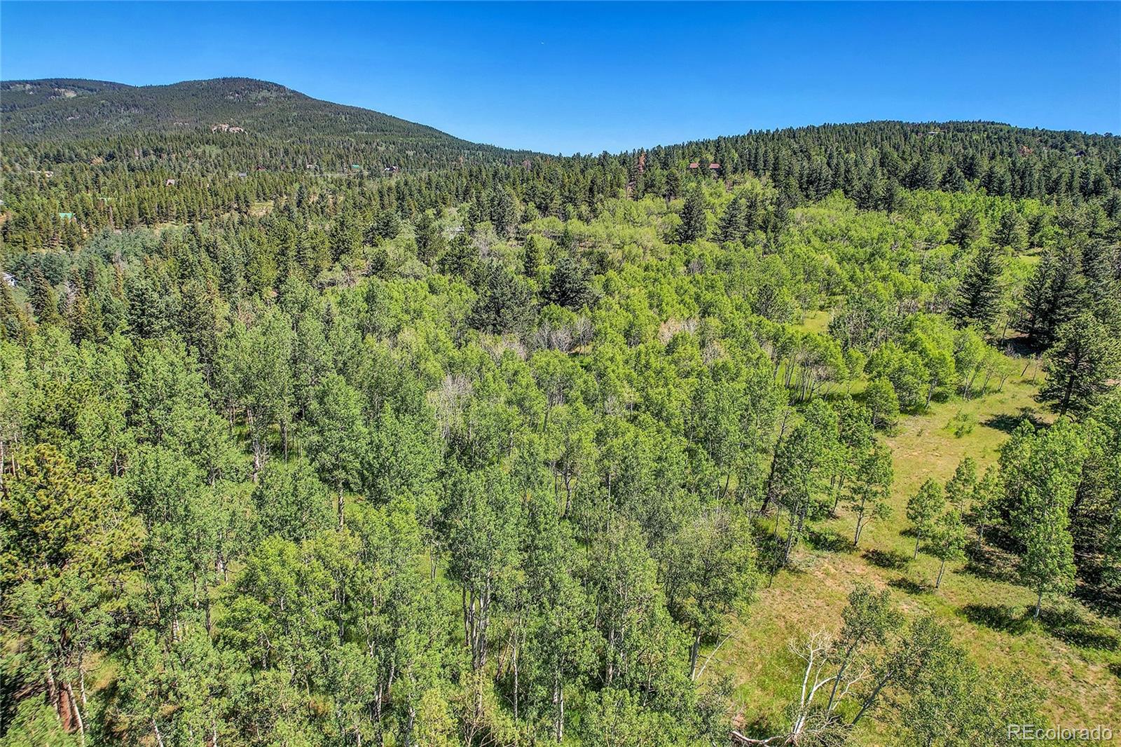 4 Hughesville Road Black Hawk, CO 80422 - Photo 5 of 29 a view of a lush green forest with a mountain