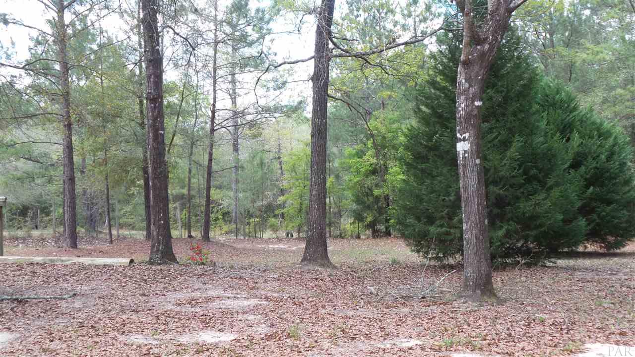 1675 Dykestown Road Jay, FL 32565 - Photo 2 of 26