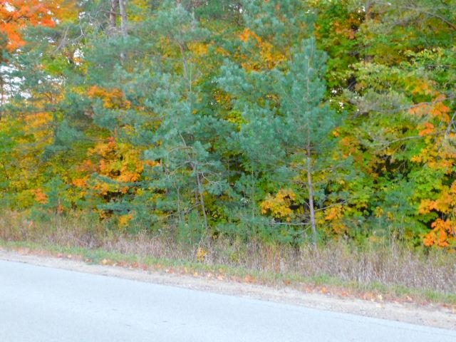 North Sharon Road Kalkaska, MI 49646 - Photo 7 of 9 Gallery Image 7