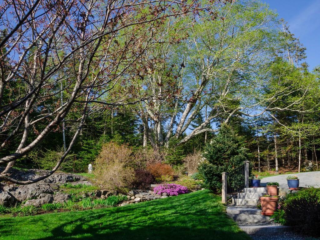 294 Ames Cove Road Harborside, ME 04642 - Photo 26 of 29 Photo
