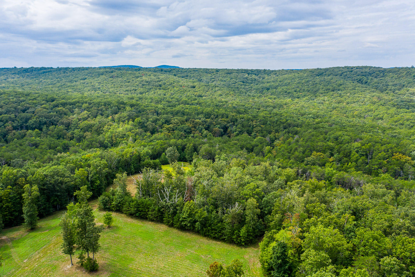 Long-Branch-Preserve-Lot-18-Photos-1
