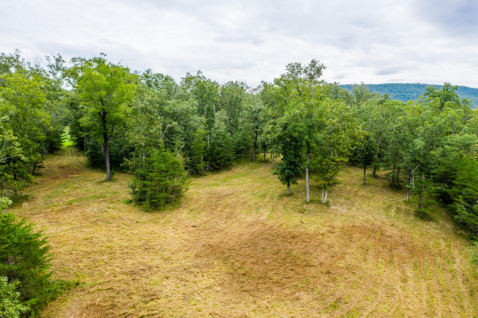 0 Long Branch Road, Unit 18 Rising Fawn, GA 30738 - Photo 3 of 33 Long-Branch-Preserve-Lot-18-Photos-4