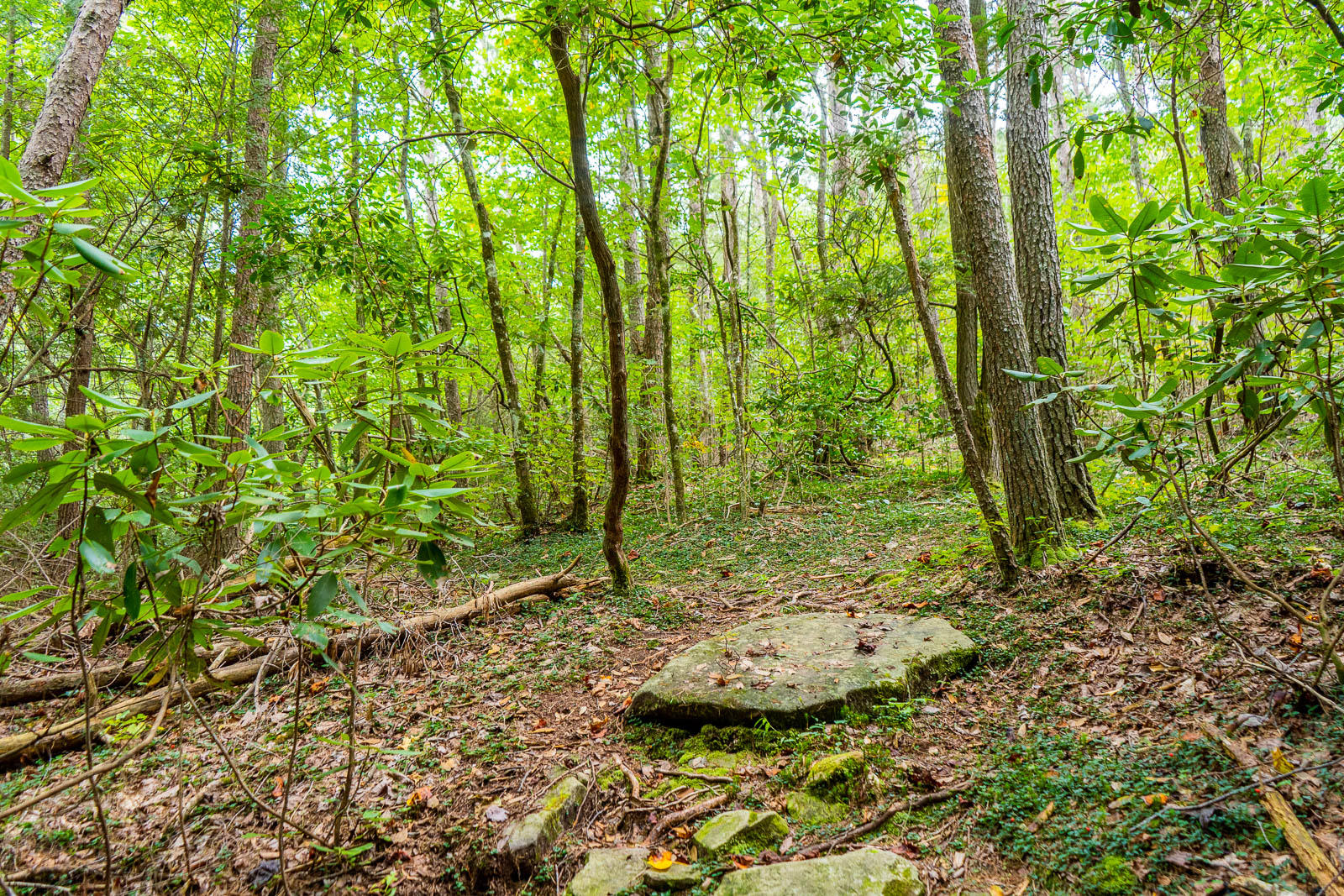0 Long Branch Road, Unit 18 Rising Fawn, GA 30738 - Photo 7 of 33 Long-Branch-Preserve-Lot-18-Photos-8